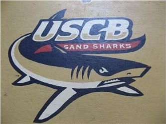 uscb sand sharks logo painted on wall