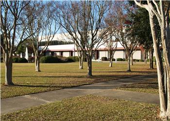 building with bare trees in foreground