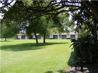 lawn and trees on campus